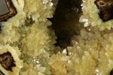 Calcite Crystal Filled Septarian Geode Egg - Utah #149941-1